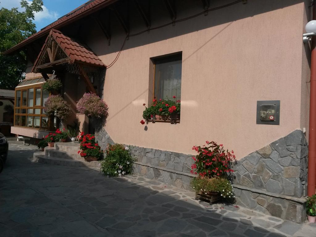 Pensiunea Lorincz *** Panzio Sovata Zewnętrze zdjęcie